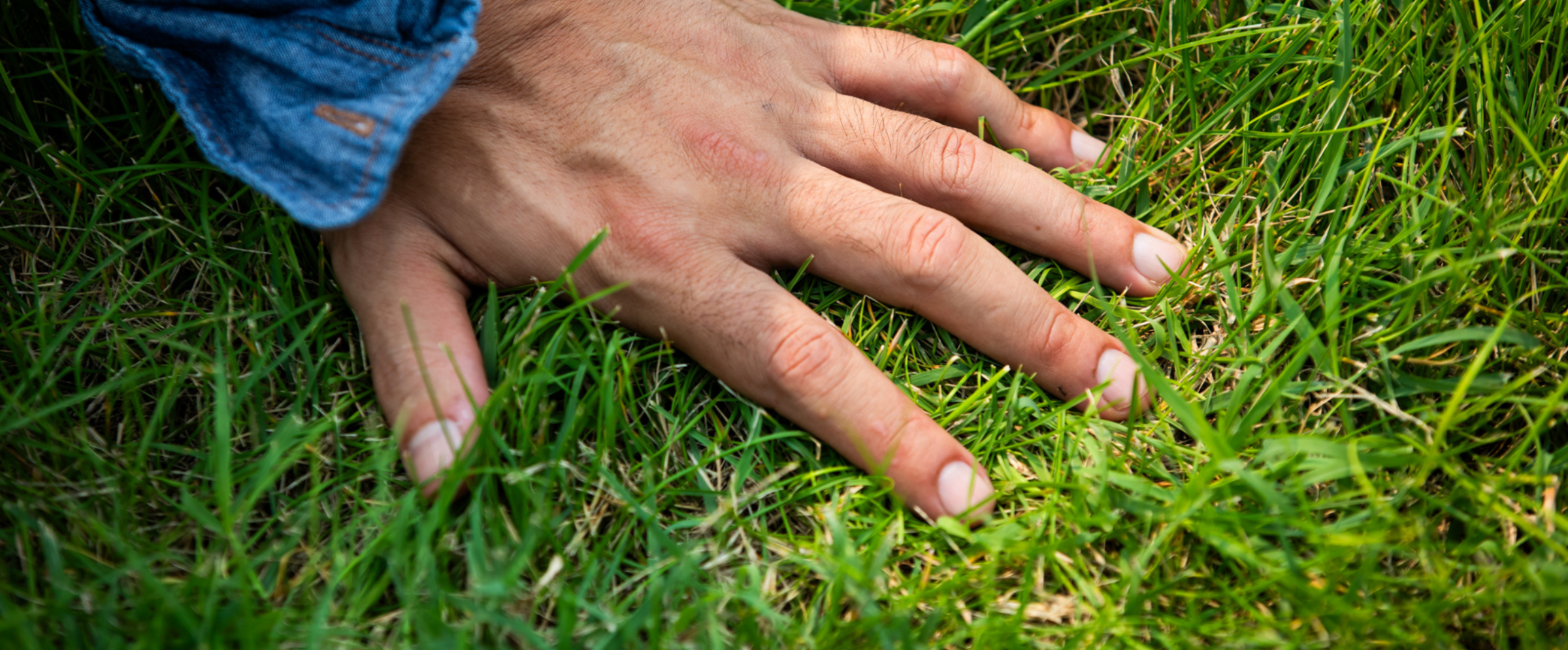 A hand spread across green grass.