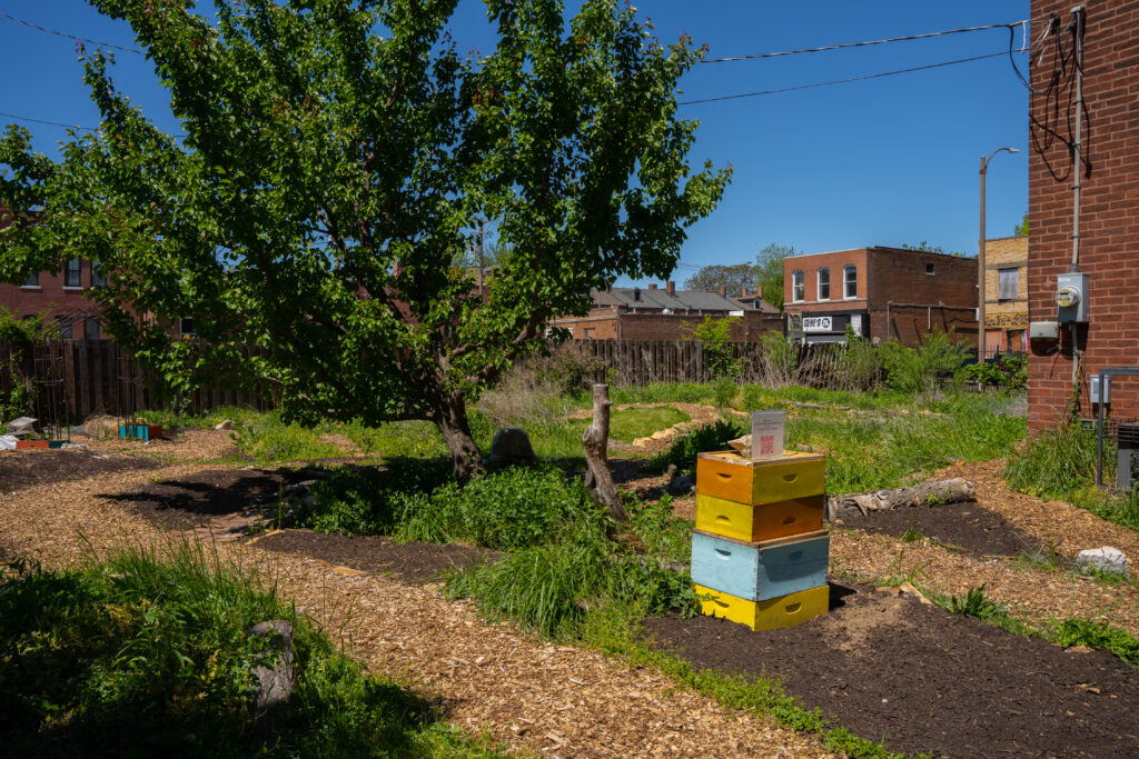 Decolonizing the Hive: Native Bee Stewardship Network